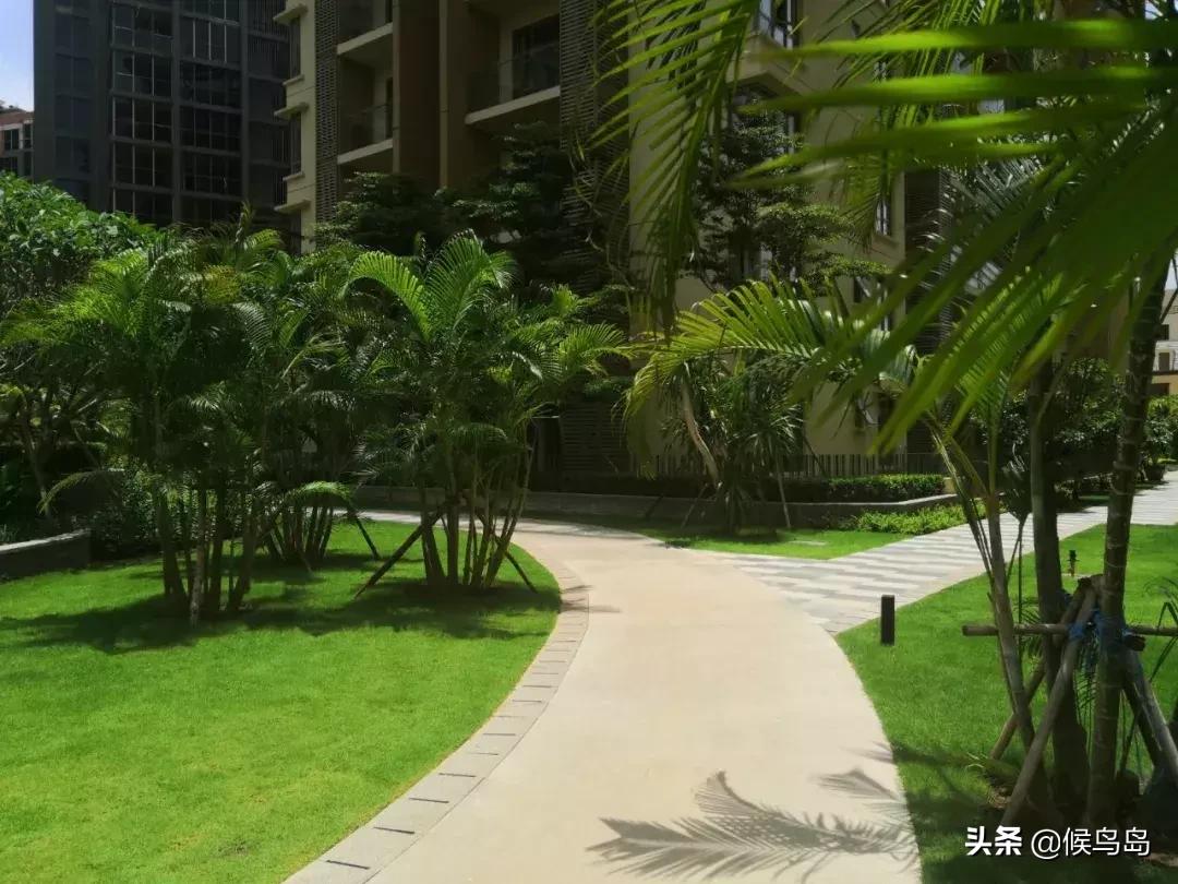 金边一号精装房,金边壹号房子值得买吗