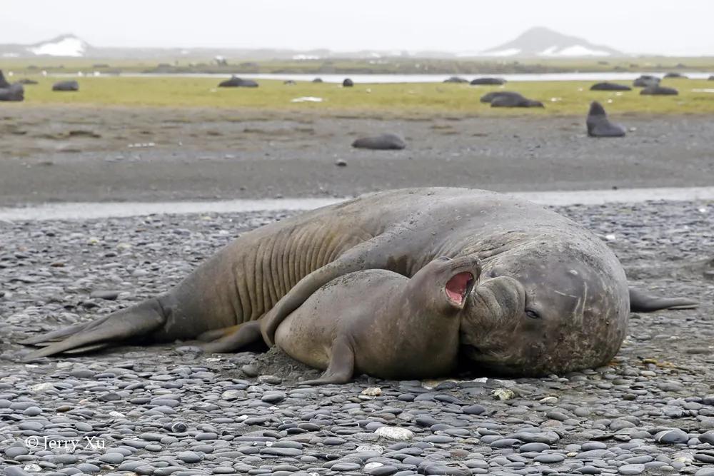 情人节适合干什么事,情人节对方做过最让你感动的事