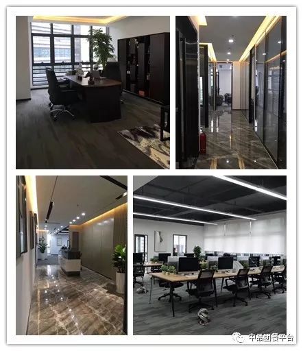 人才招募令｜|每一个优秀的“金子”都将在中品闪耀光芒