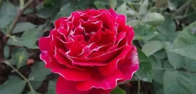 每天学习一点点女性小常识,每天学习一点点科普一下