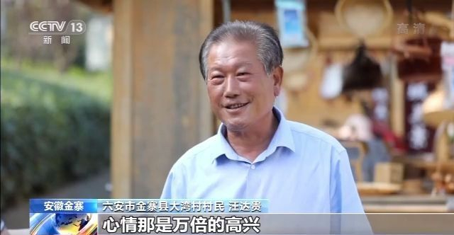 走向我们的小康生活丨安徽金寨：大湾村的美丽蝶变