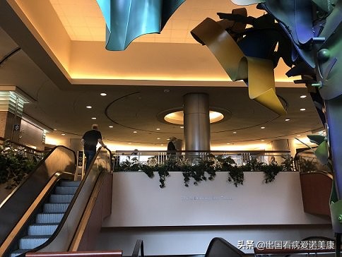 乳腺癌什么情况下可以保住乳房,乳腺癌美国被攻克了吗