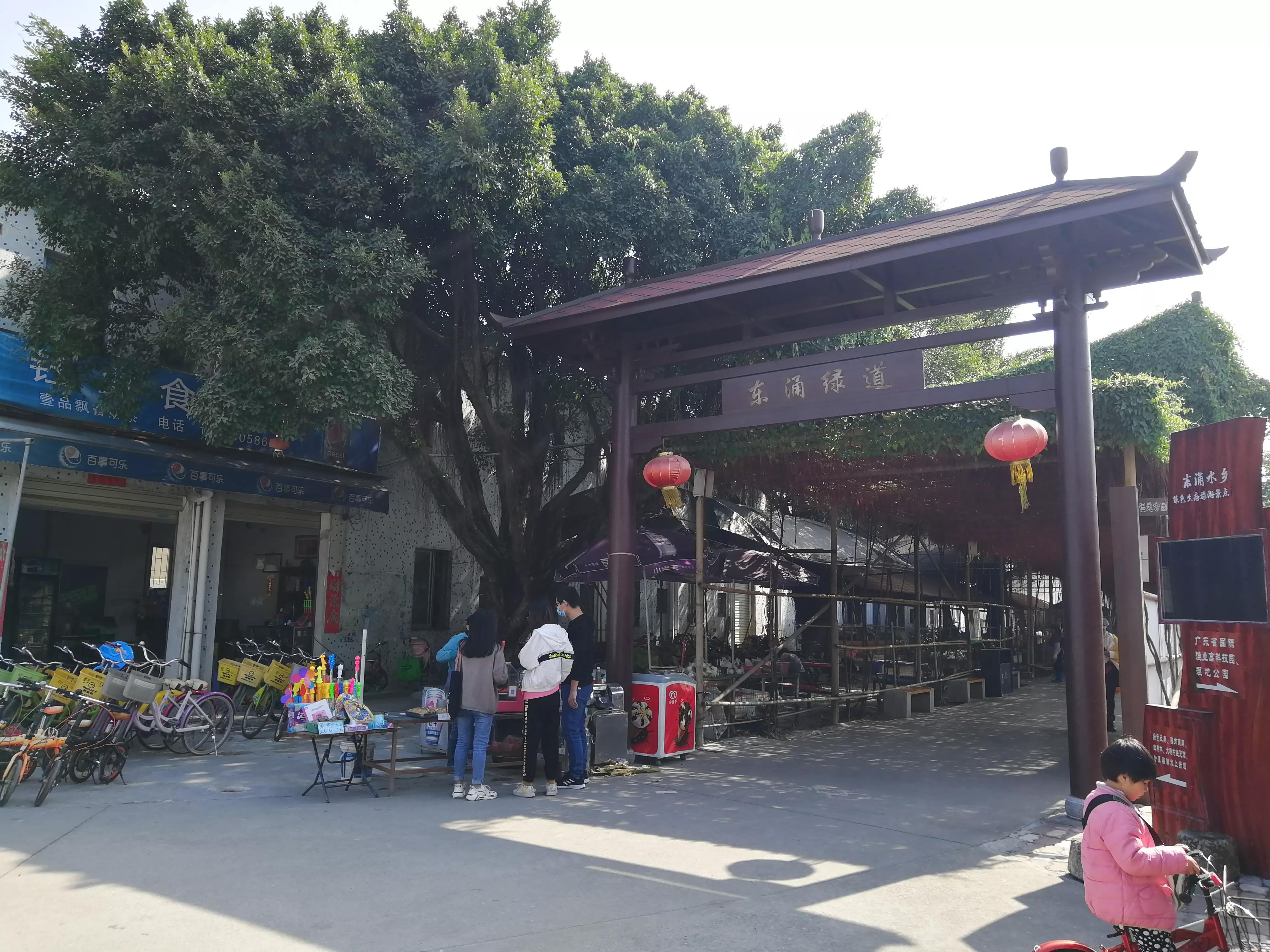 地铁4号线美丽乡村东涌,地铁4号线沿路风景