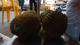 广州市水果市场热闹吗,广州市场有什么水果