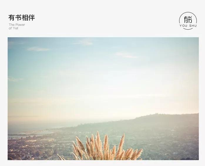 如何评价潘粤明书法作品,董洁妈妈评价潘粤明