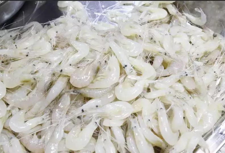 合肥疫情下的菜价行情,合肥蔬菜涨价原因