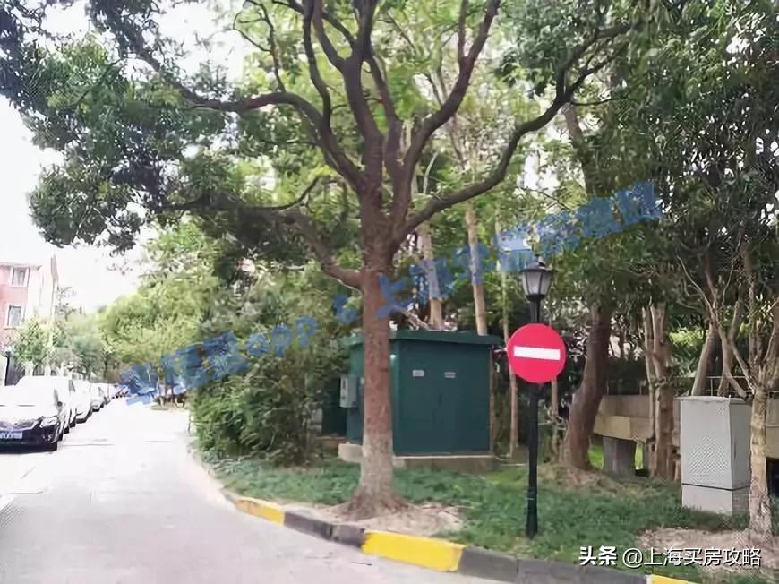 民办摇号学校有哪些,上海民办摇号哪些初中难上