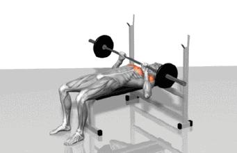 卧推练胸之后没感觉？增加这几个动作提升泵感，练完胸部又酸又胀