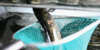 杜蕾斯南阳,南阳杜蕾斯