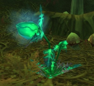 怀旧服费伍德森林萝卜怎么采,费伍德森林怀旧服地图