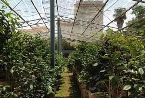 五一小长假昆明周边露营地点推荐,昆明周边户外露营游