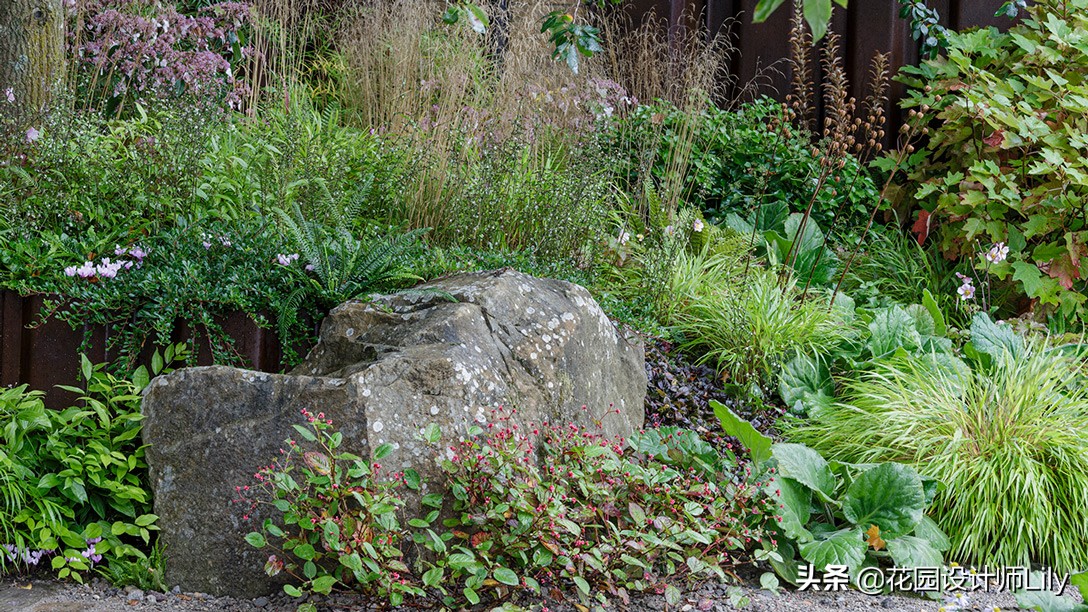 2023年切尔西花展各个花园的介绍,切尔西花展最佳花园