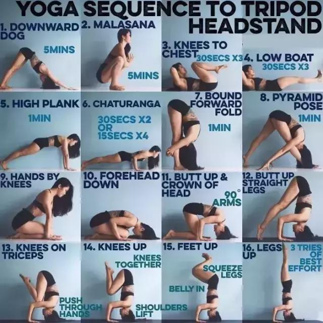 零基础哈他瑜伽体式大全口令讲解,哈他正位瑜伽体式串联90分钟编排