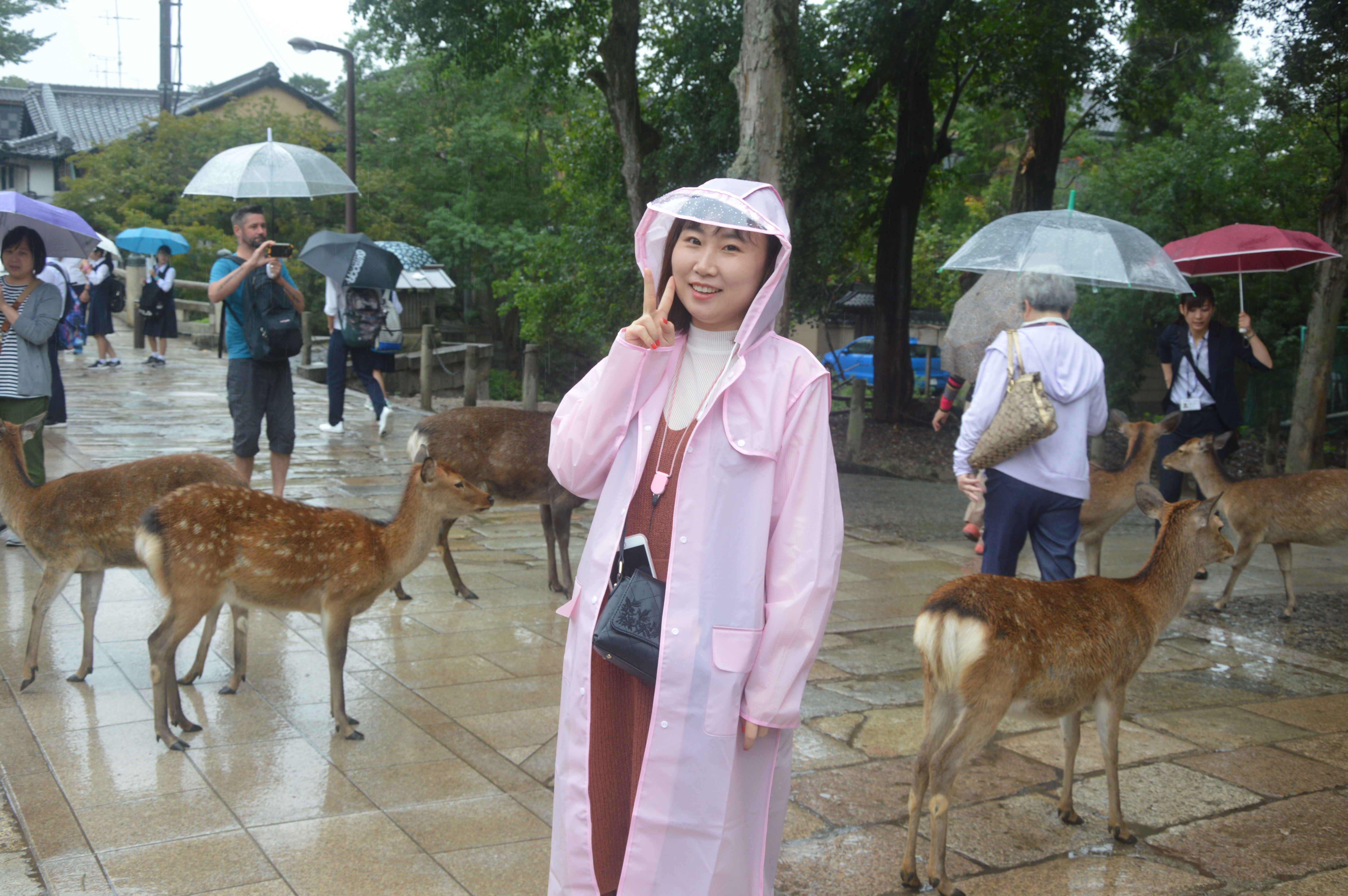 日本旅游攻略本州双古都7天,日本本州六日游攻略