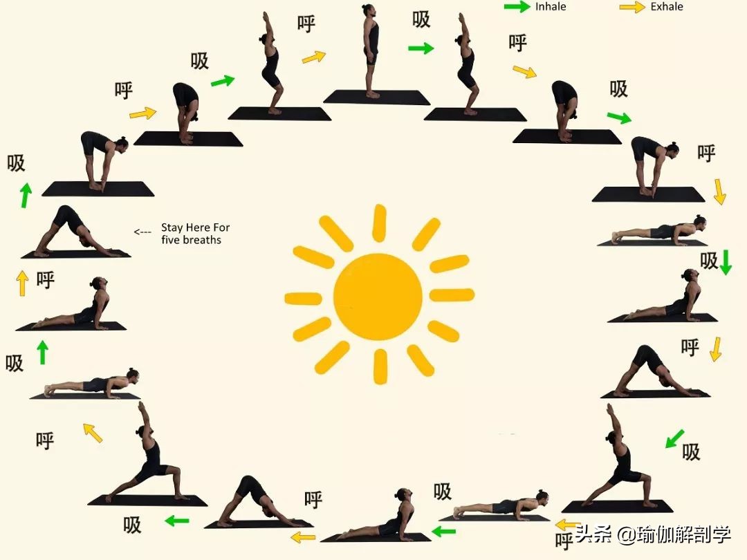 刚开始练瑜伽下犬式,瑜伽老师说体式