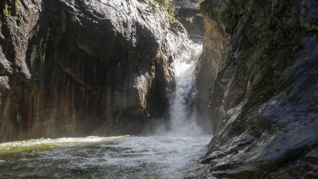 建*党**百年，百名作家走进养子沟——第十五期作家研修班圆满结束