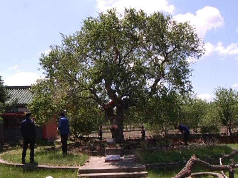 大庆市肇源县调研巡查打造魅力肇源旅游