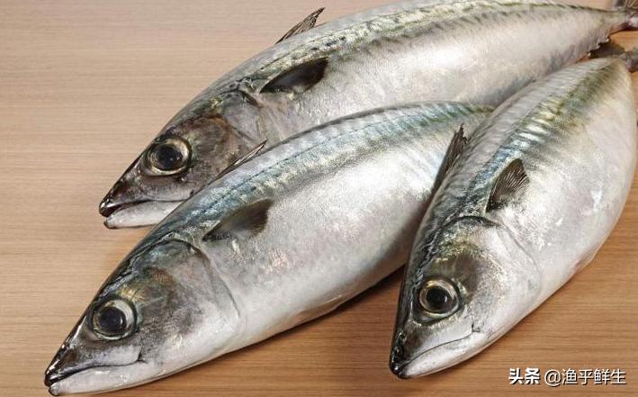 全国十大海鲜排名,中国海鲜十大产地排名最新