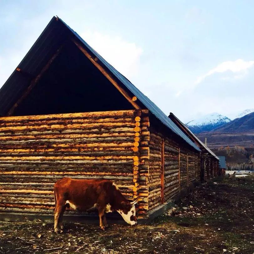 抖音做完酒店,又开始做旅行社“*梦春**”