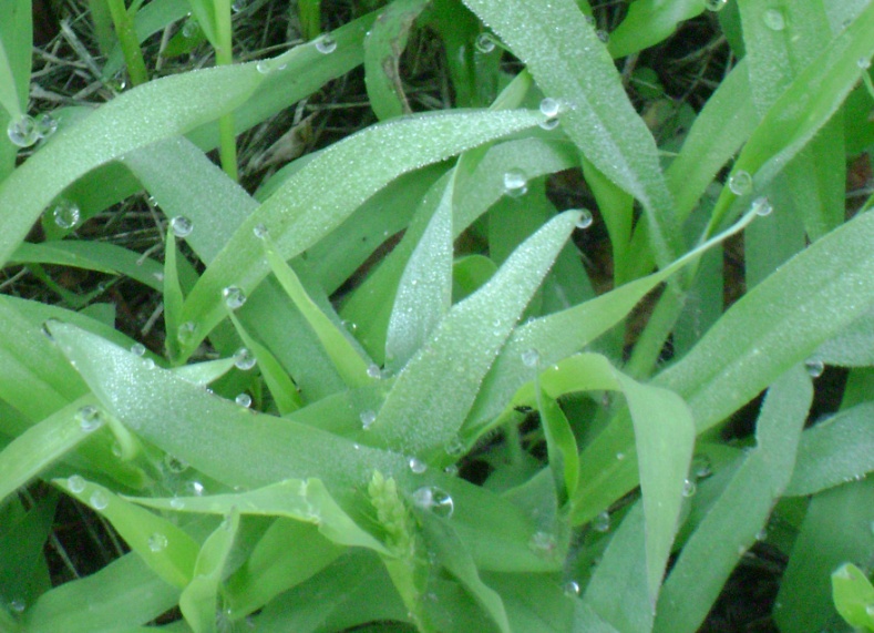 洗衣液泡沫太多了衣服能洗干净吗,洗衣液越多泡沫越多吗