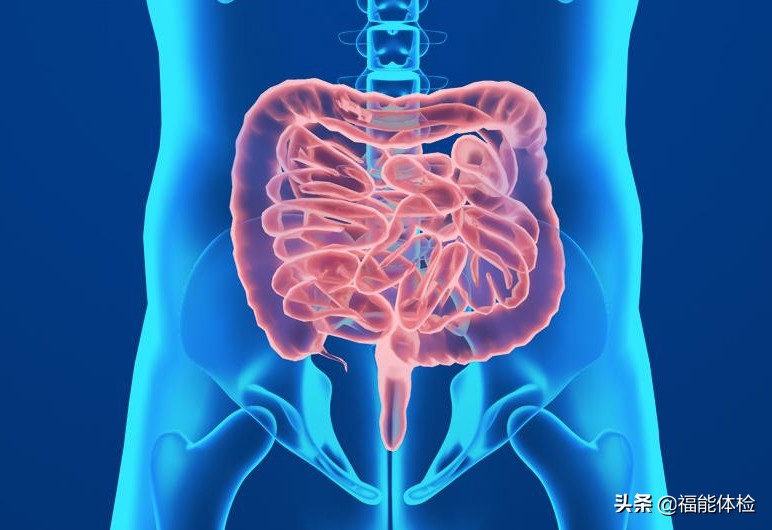 肠息肉切除后多久复查一次肠镜,肠息肉切除后多久复查一次