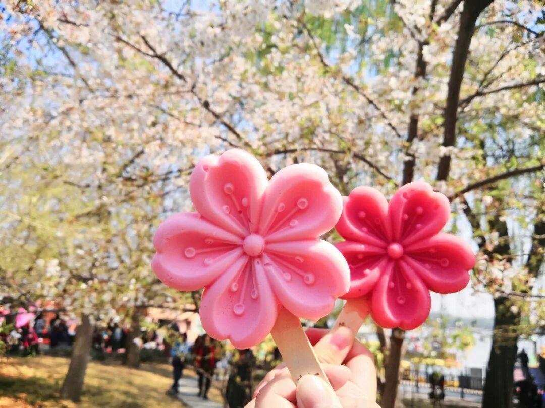 那些稀奇古怪的冰淇淋,十种网红冰淇淋