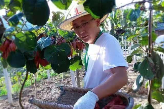 7万亿振兴乡村25个领域,7万亿资本进农村