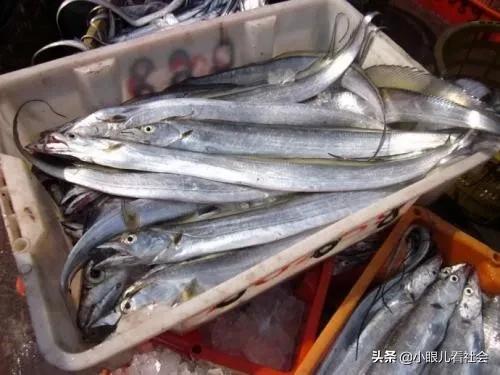 曾经，排大队也要吃上一口三毛八的带鱼