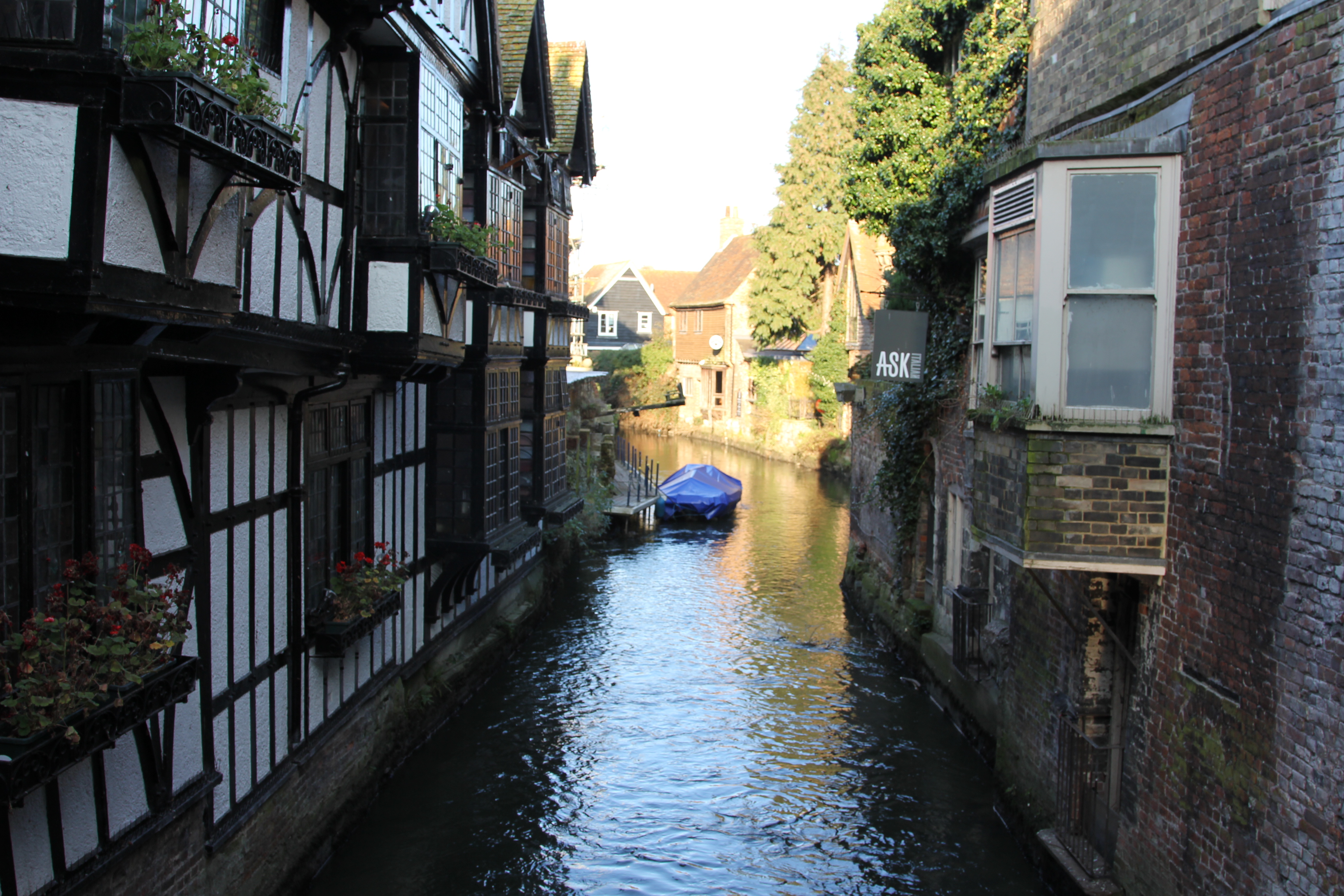 探访斯坦福,探访爱尔兰凯尔特人