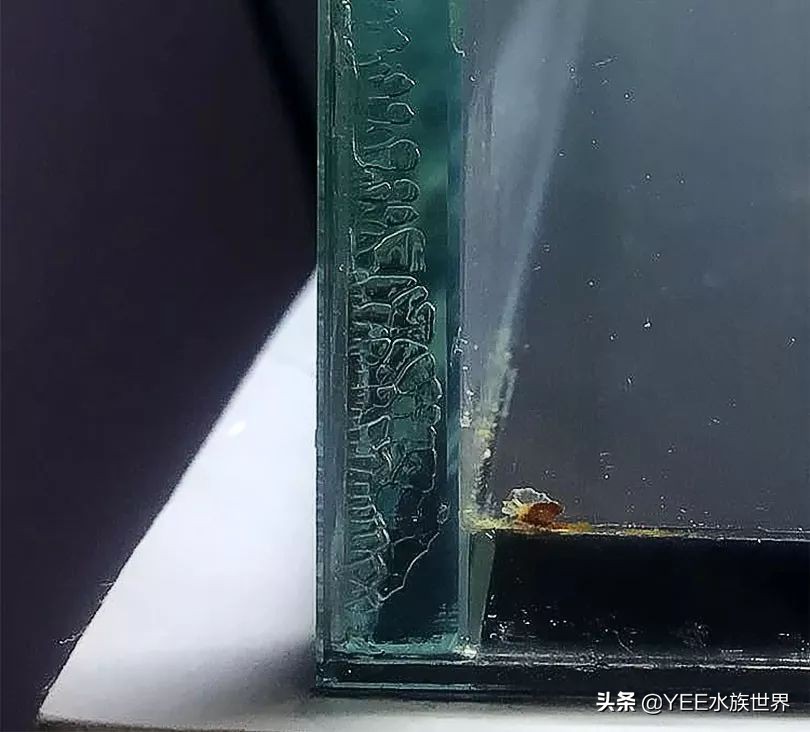 鱼缸胶水和耐候胶有什么区别,哪种鱼缸玻璃胶的粘性最强