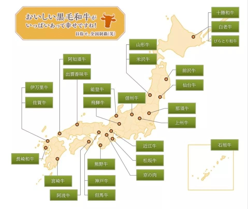 日本的牛肉为什么叫和牛,正宗日本和牛是什么样子的
