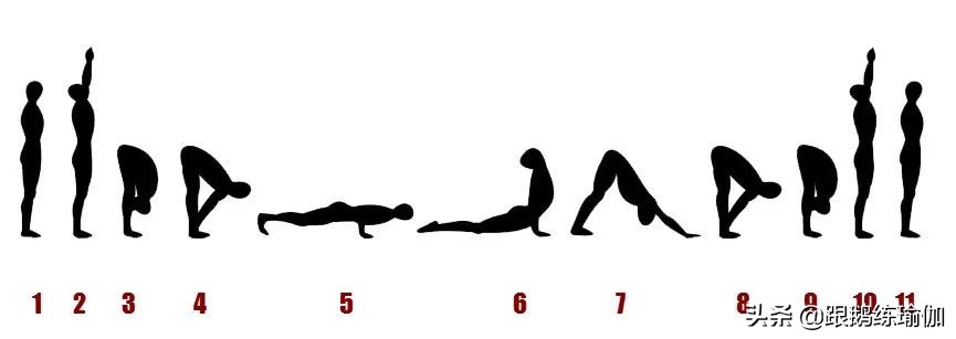 拜日a式注意要点,拜日式a完整版口令