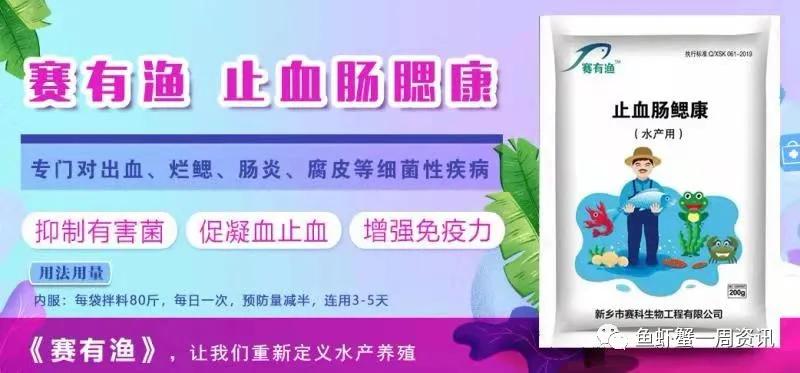 受疫情影响蔬菜价格,草鱼烂鳃病的发病原因及防控措施