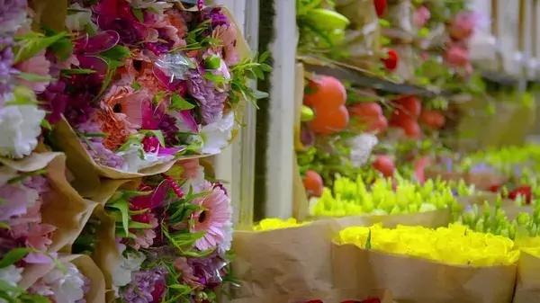 世界最大鲜花市场的销售全过程,全球最大的鲜花交易市场排名第一