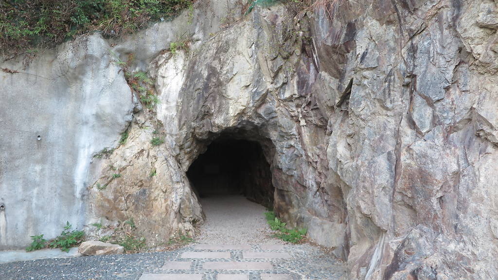 梅窝游玩,梅窝一日游最佳路线