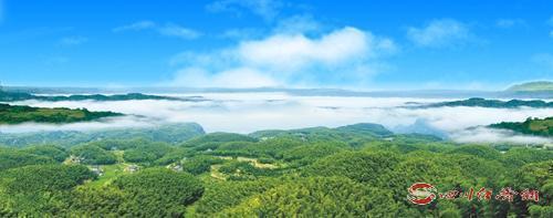 泸州老窖产业扶贫,泸州农业扶贫