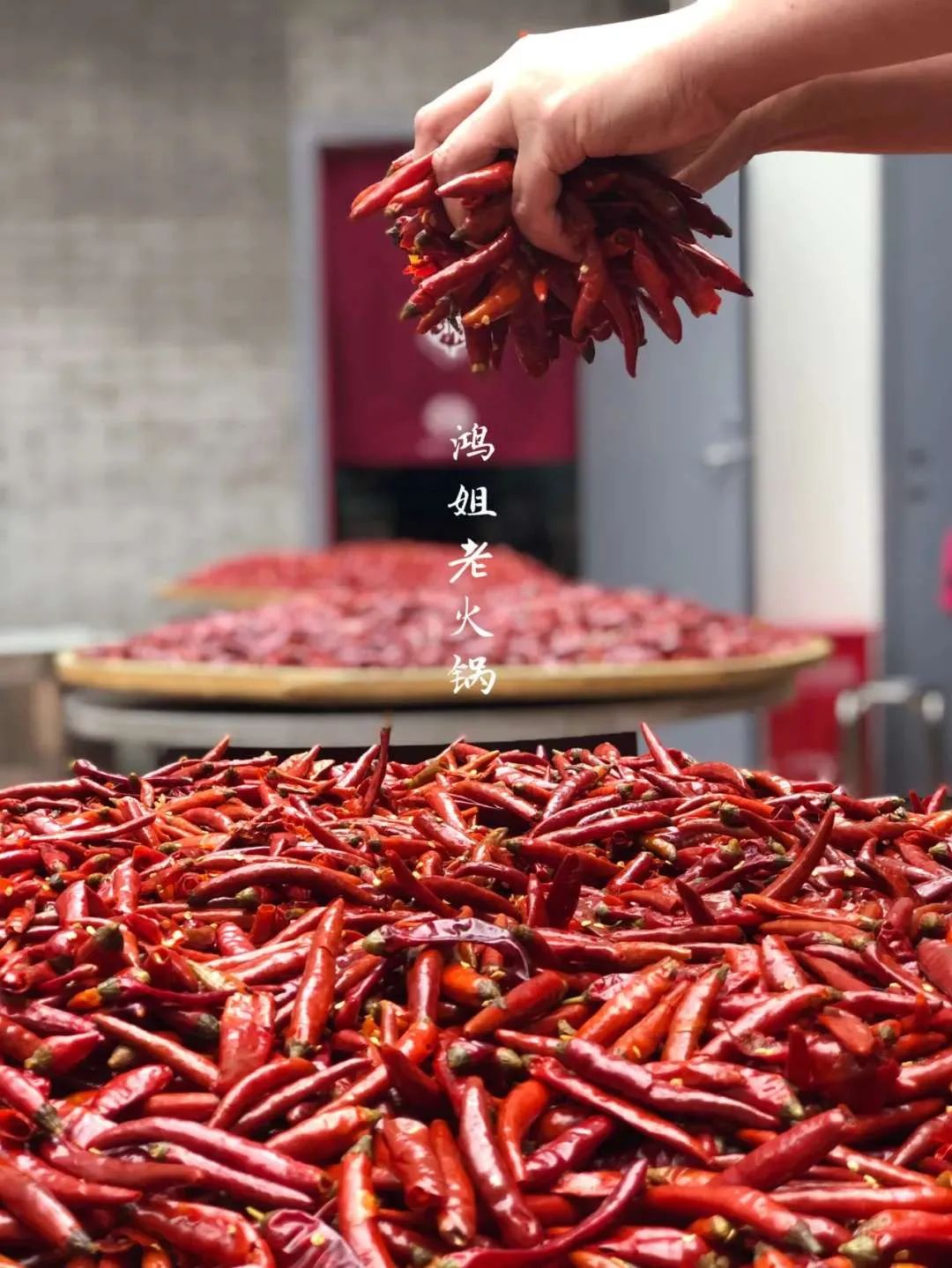 上海网红美食排行榜前十名探店,上海网红打卡美食蟹包