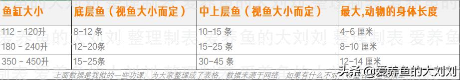 养鱼密度大注意事项,养鱼密度大需要注意什么