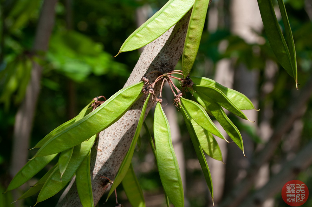 老镜记，Contax35-135/3.3-4.5改装宾得口并试镜