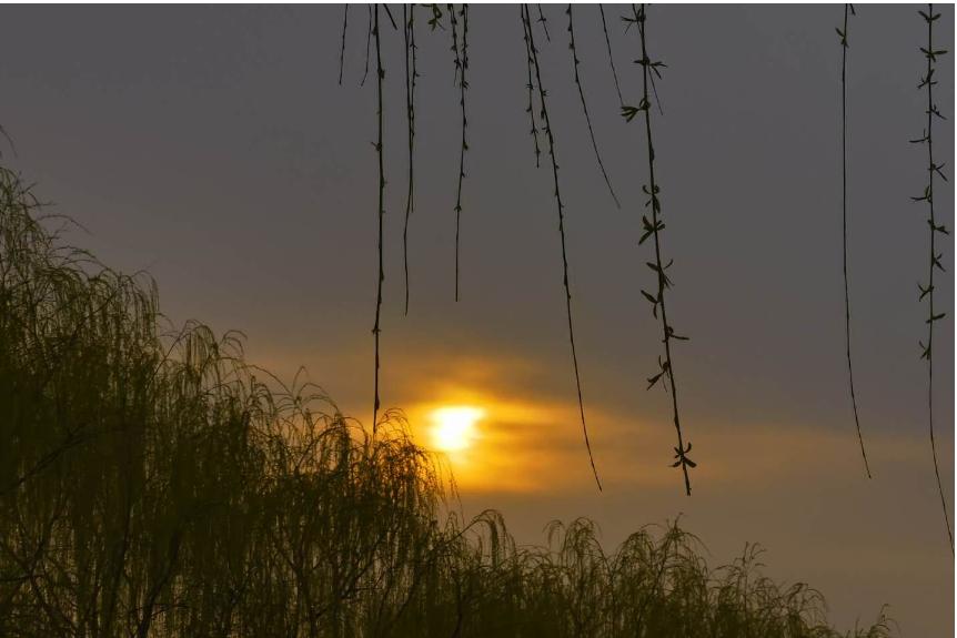 虽是医药院校，却未用医疗卫生命名的大学——河北北方学院