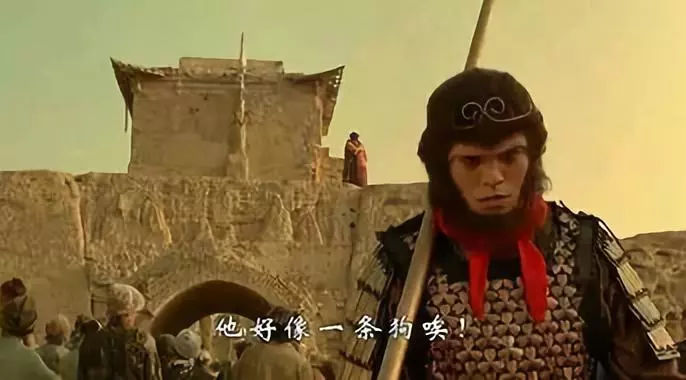 为什么人人都讨厌蚊子,为什么人人都讨厌绿茶