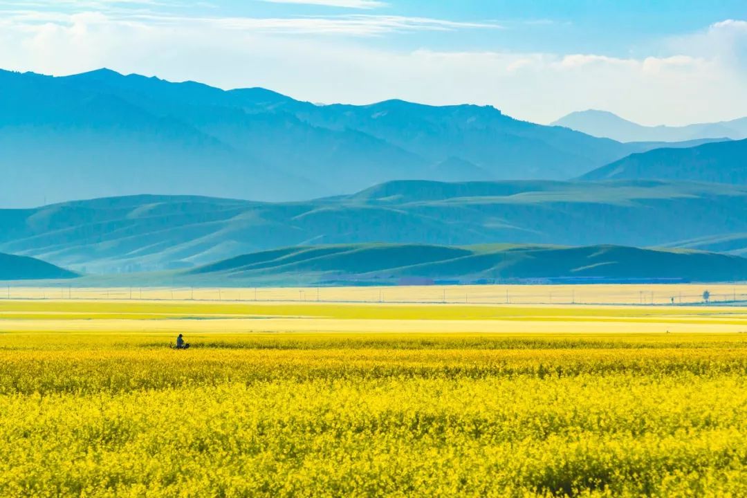 夏天的北疆美景,六月的北疆有多美