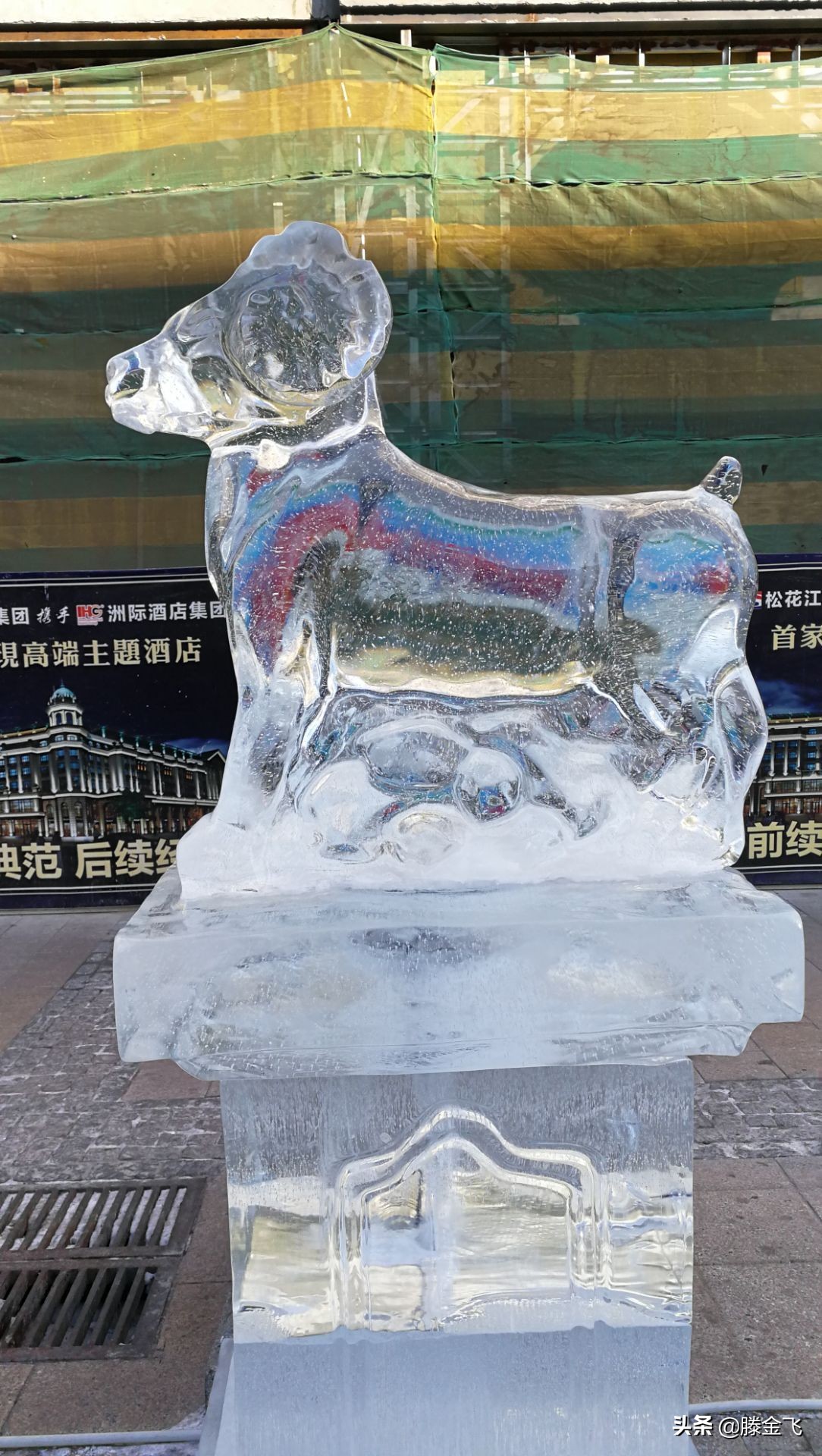 哈尔滨松花江结冰,哈尔滨松花江封江