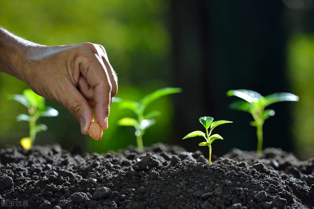春天播种的季节的诗句,春天播种的季节文案