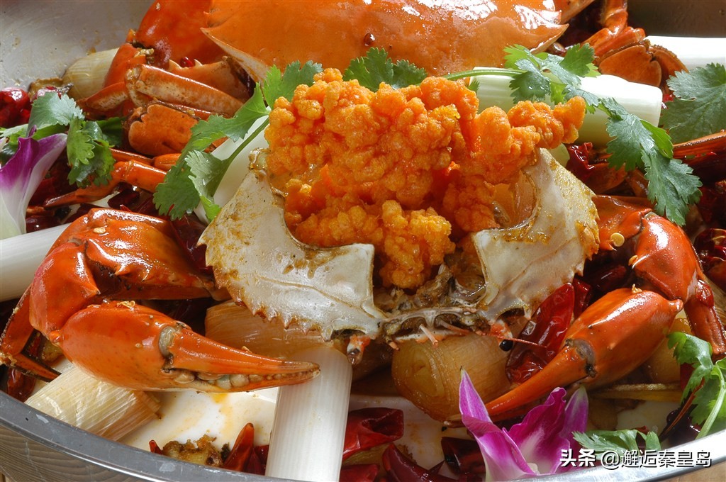 如何分辨螃蟹的公母以及如何挑选,生出来没多久的螃蟹怎么分公母