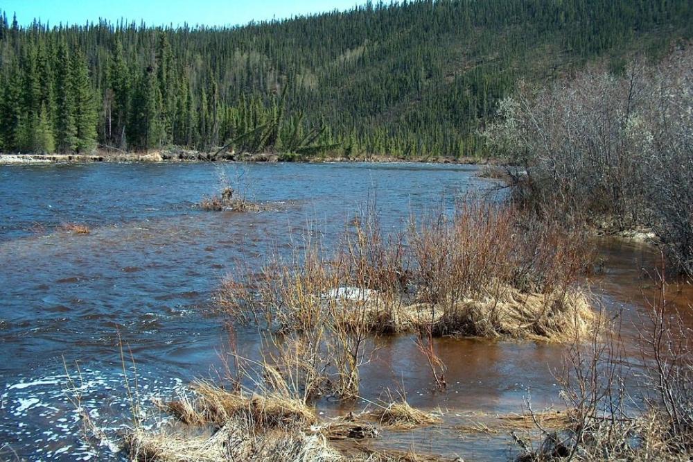 迅实资本重组上市,迅实资本有多少资产