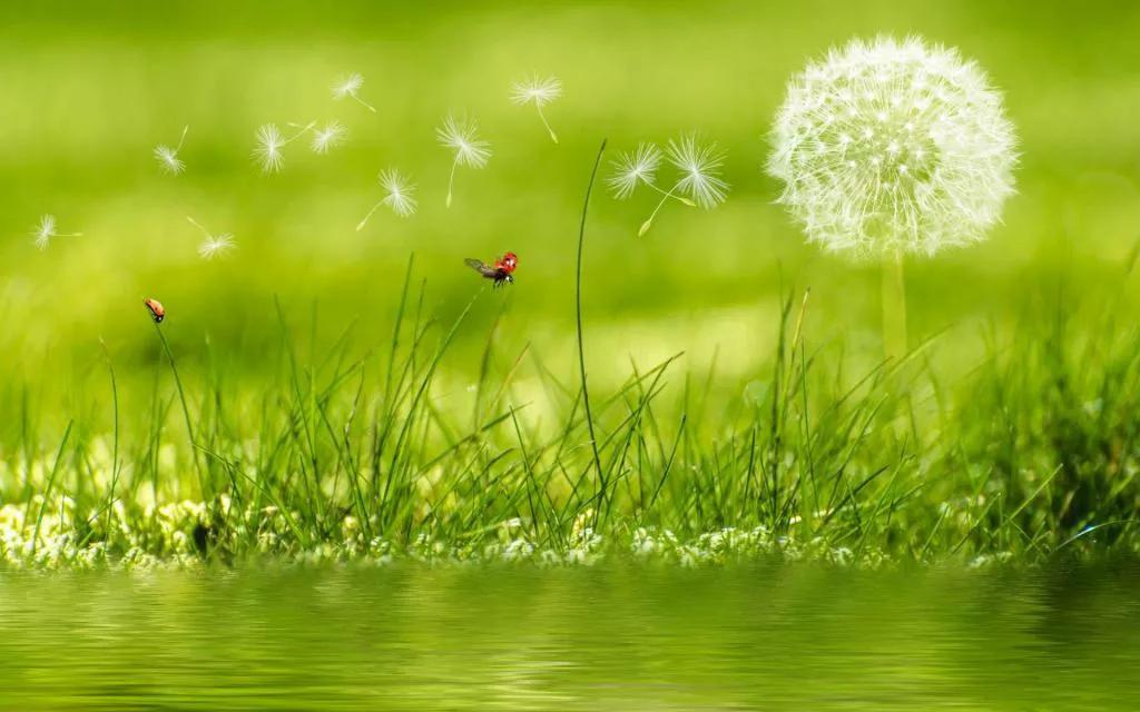 吕寨村历史名人,吕寨历史名人