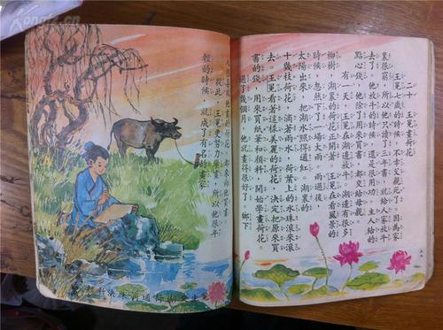 台湾省5大冷知识,你不知道的台湾知识