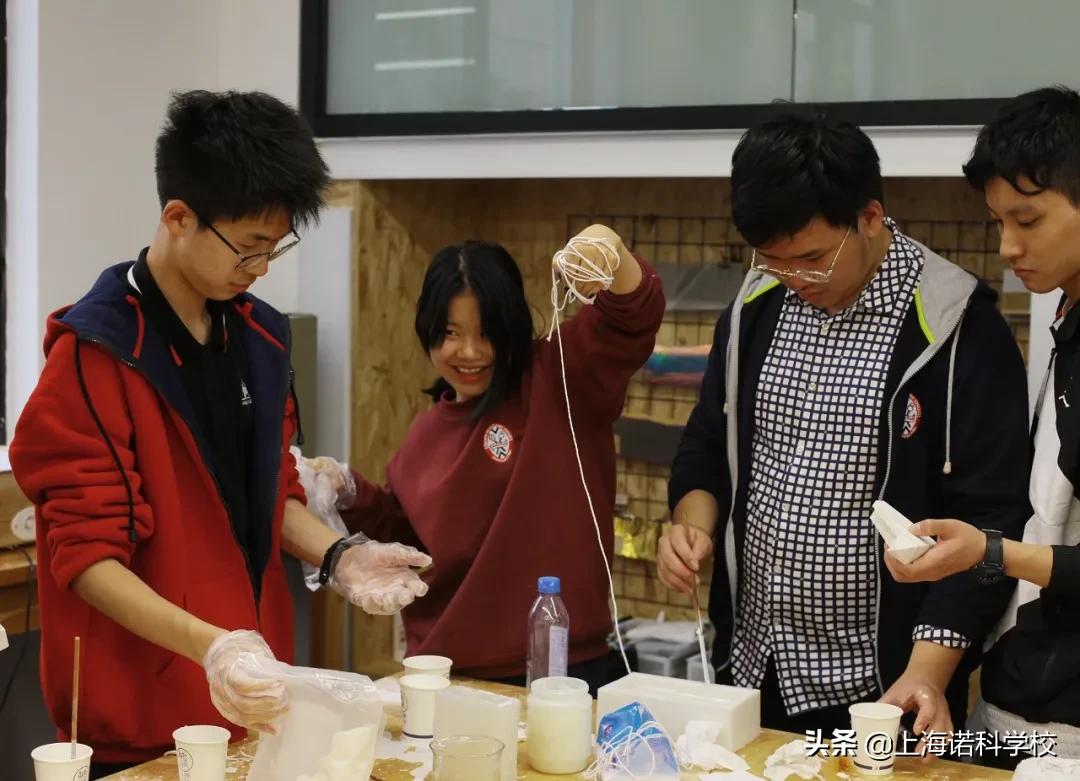 生涯体验记录,生涯体验