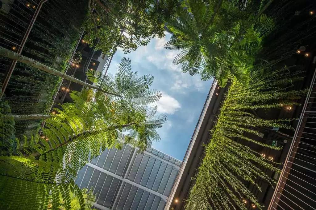 商业步行街景观设计效果图,现代商业街景观效果